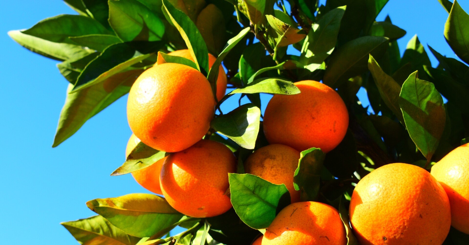 3b0d3603417aa29b673ba5f4ccb536