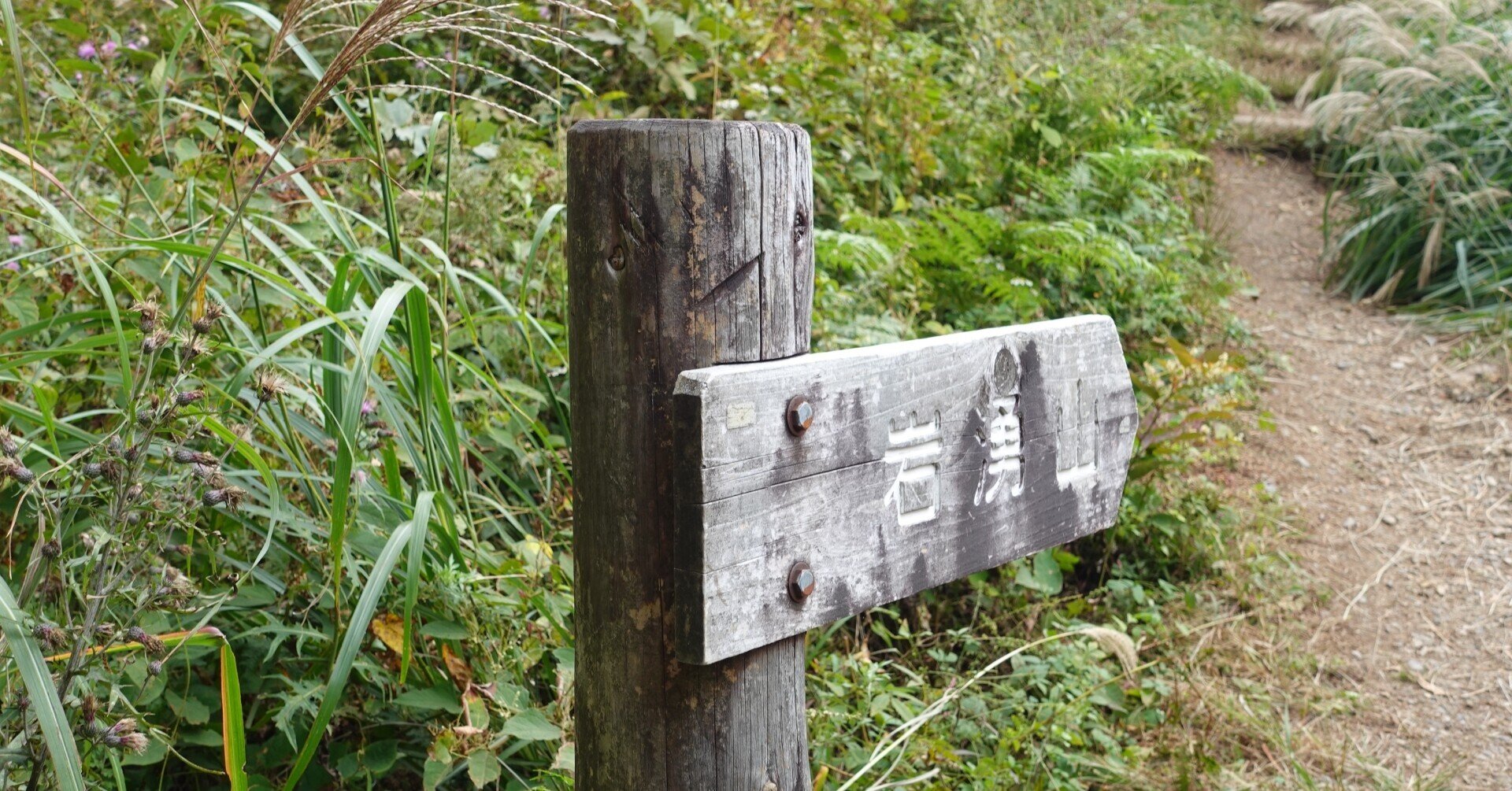 岩湧山登山 カキザコ 尾根から山頂近くススキが見える キトラ まで 南 奥河内から情報発信 フォロバ100 相互フォロー歓迎 毎日更新 彡 Note