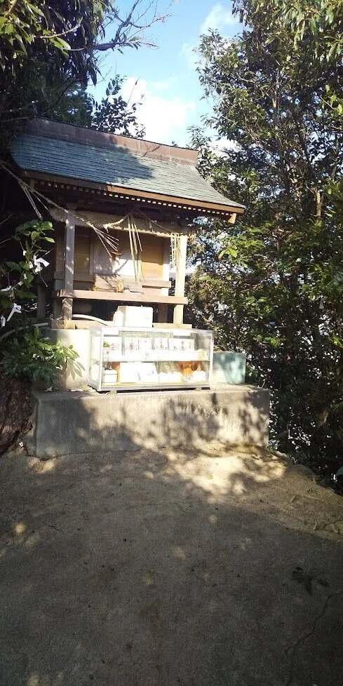 画像8