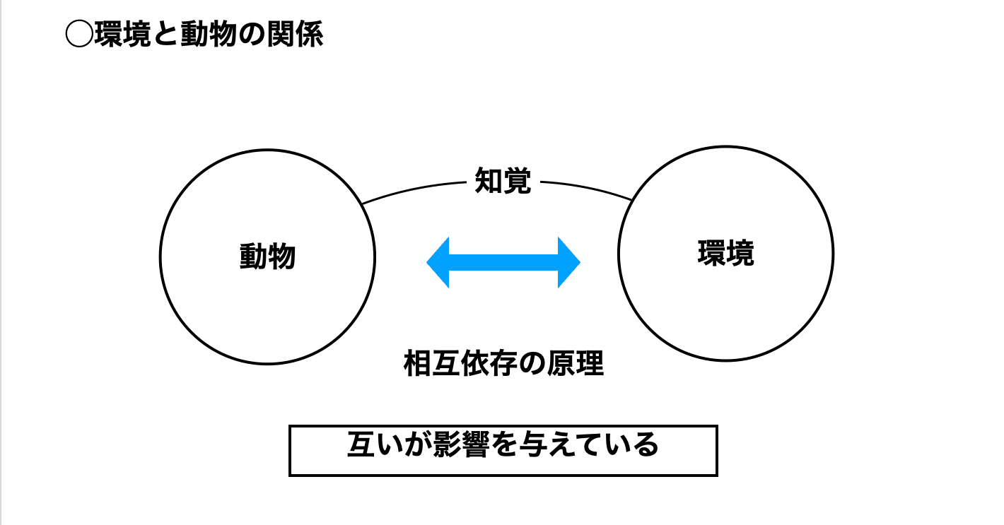 エコロジカルアプローチ①-学習者中心の最新トレーニング理論-｜小谷野