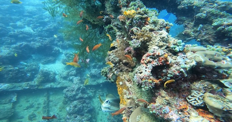 メールにはいつ返信すべきか あらほ Note