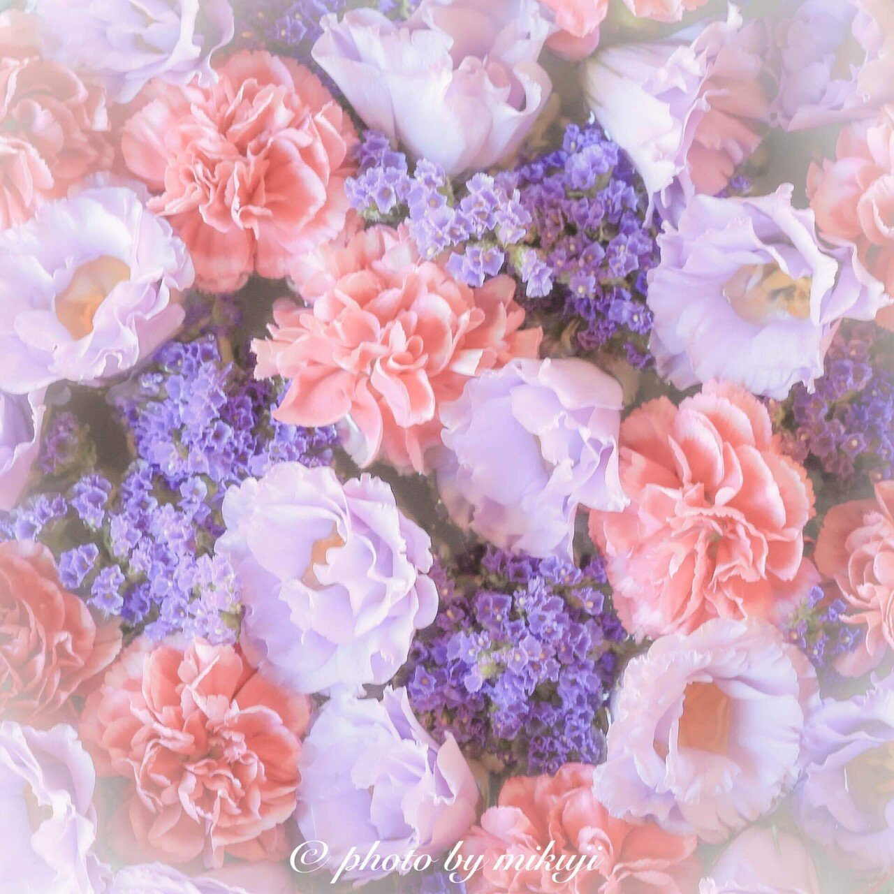 花手水の癒し ミクジ Note 花手水の癒し ミクジ Note