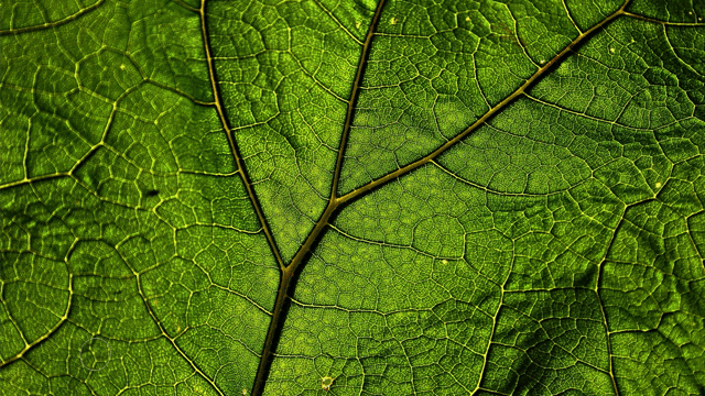 Photoshop ブラシで描いた点が水滴に 魔法の水滴テクニック ゲラ デザイナー Note