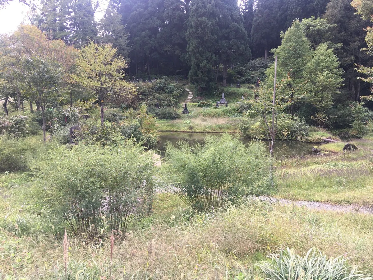画像5
