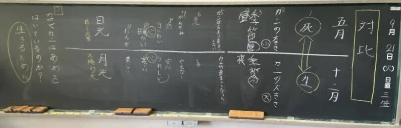 ハマ様　板書分 教師が“明確な意図”をもった板書｜日本教育技術学会 オンライン研究会