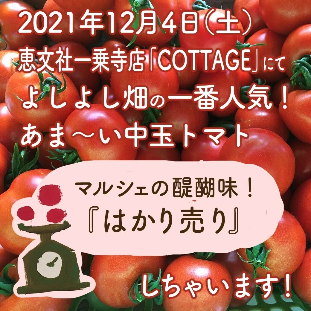 畑まるごと出張大作戦 Vol 5 1 畑のマルシェ あま い中玉トマト よしよし畑 くせしほ おかちゃん Note