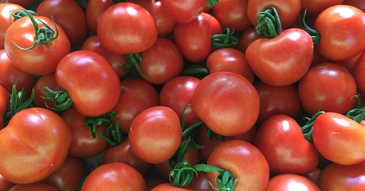 畑まるごと出張大作戦 Vol 5 1 畑のマルシェ あま い中玉トマト よしよし畑 くせしほ おかちゃん Note