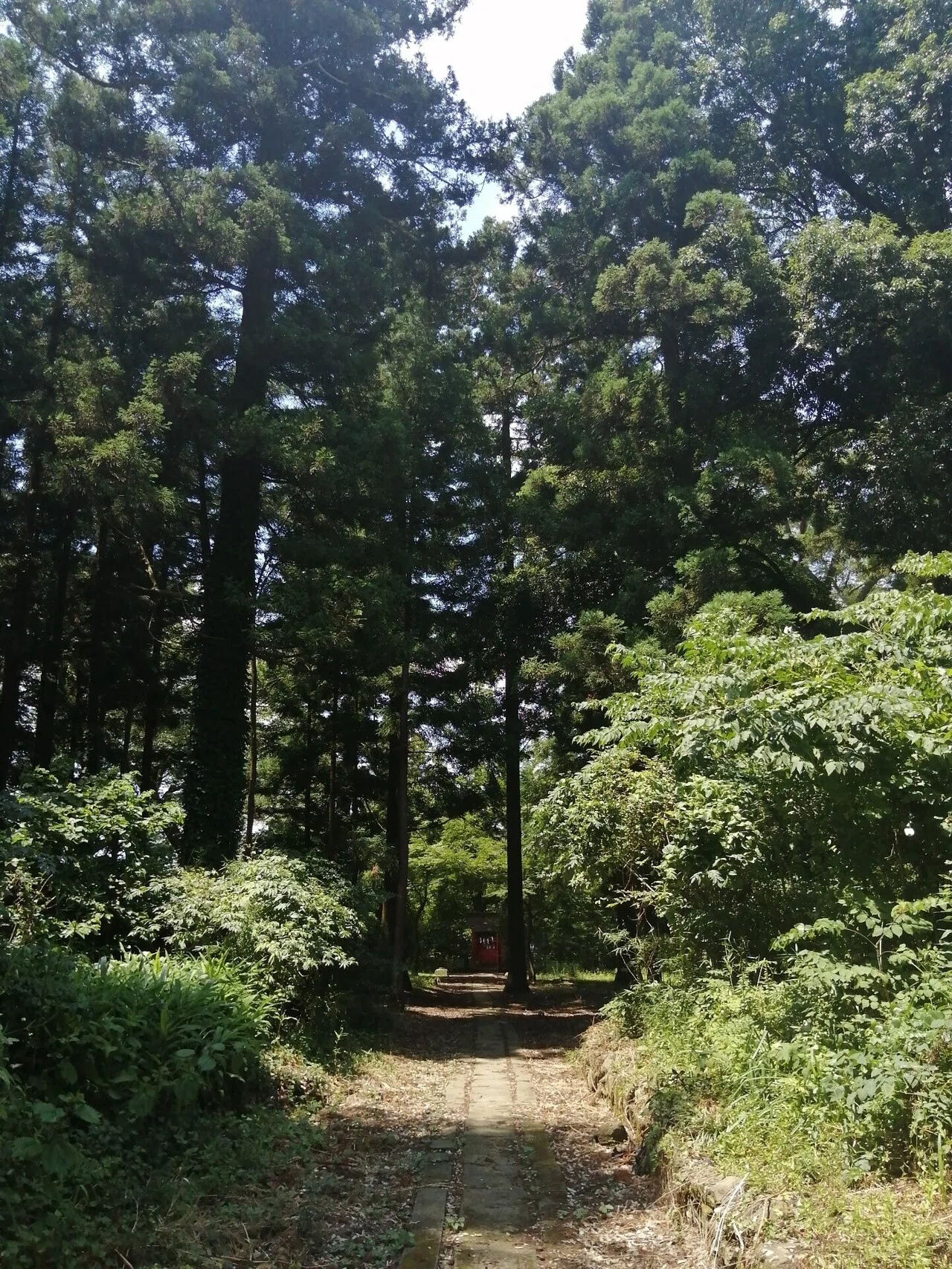 画像3