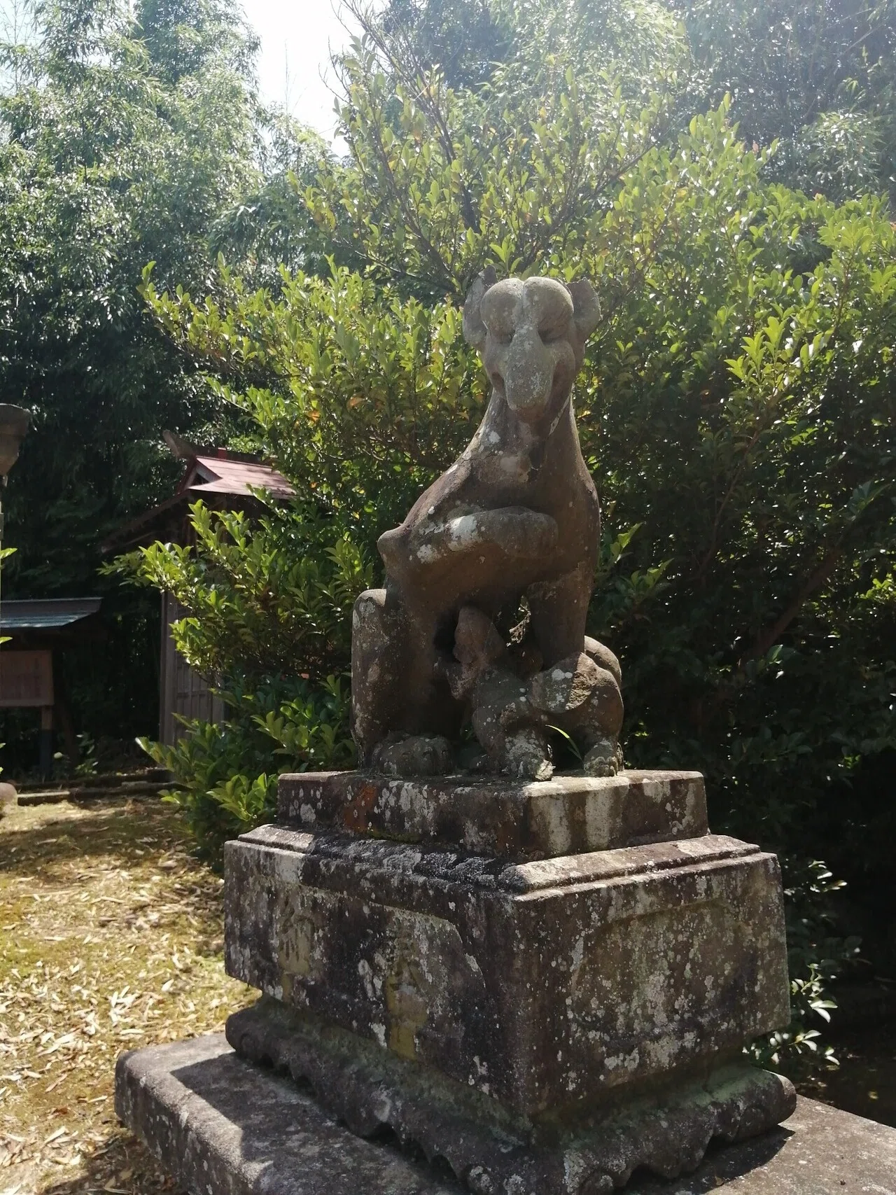 画像4