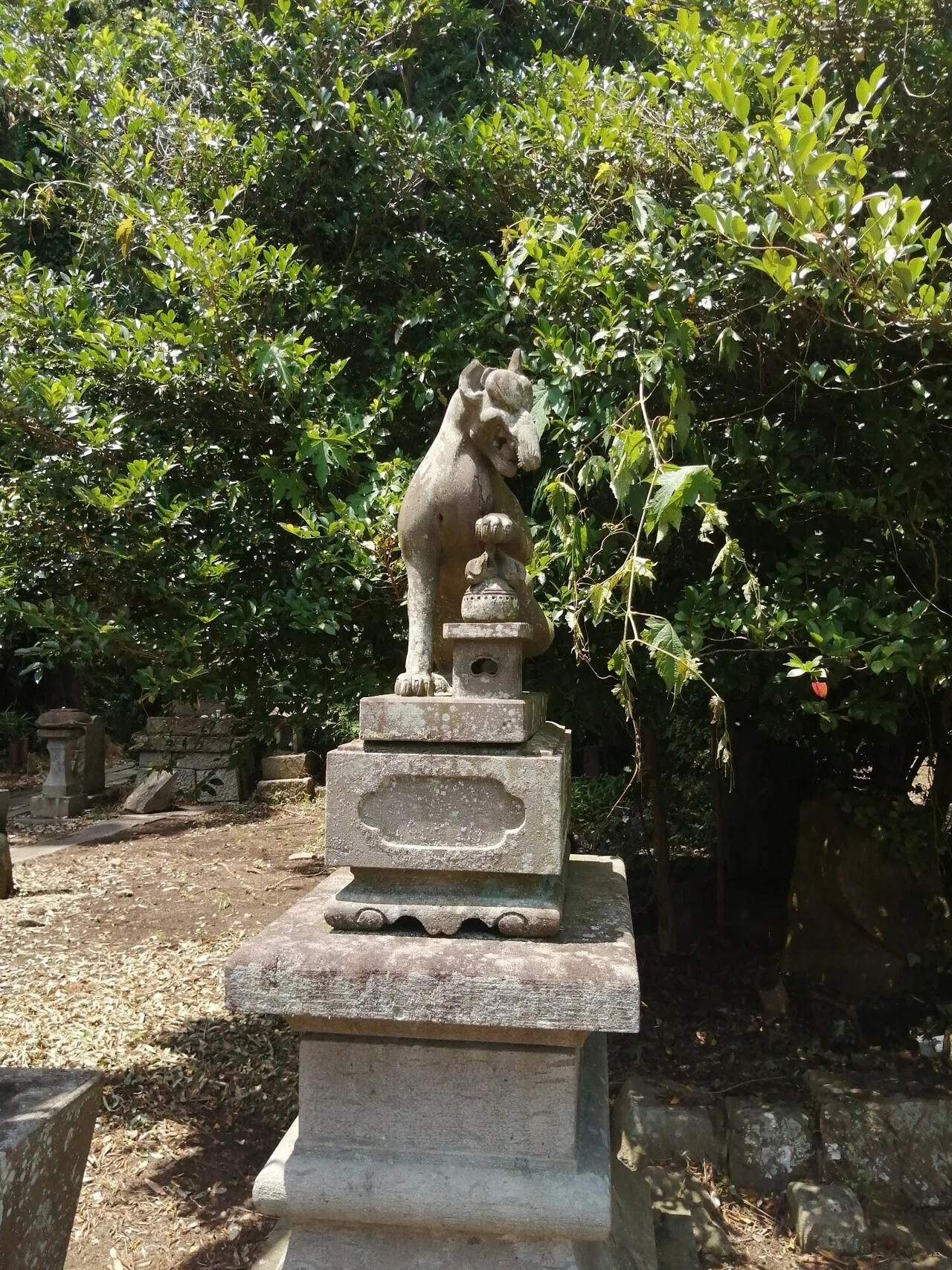 画像5