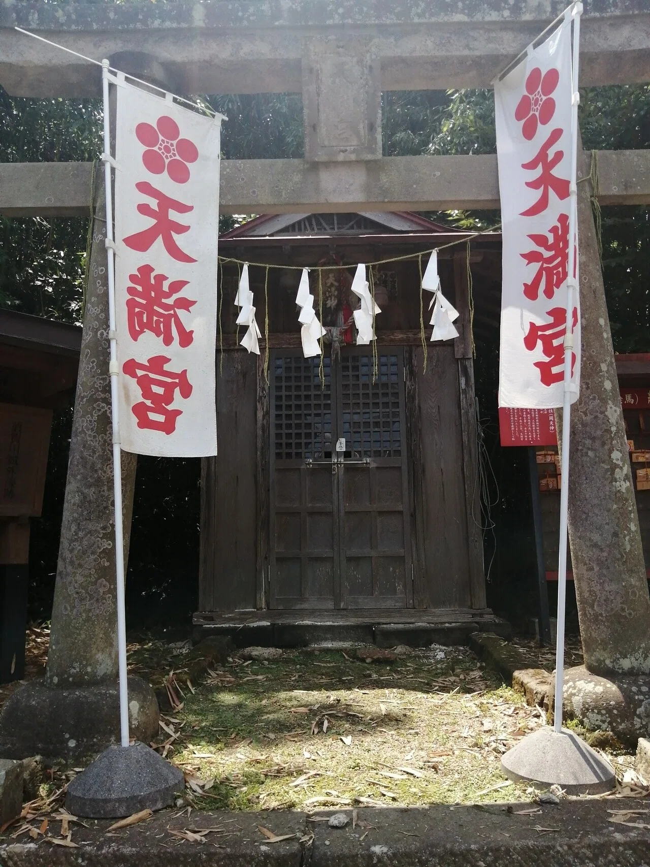 画像6