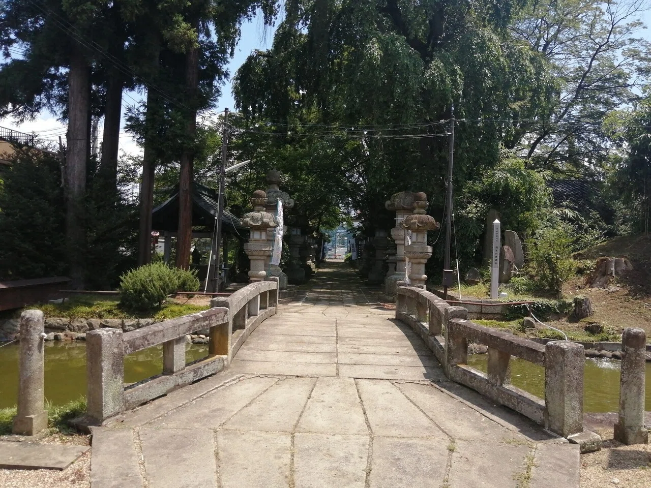 画像8