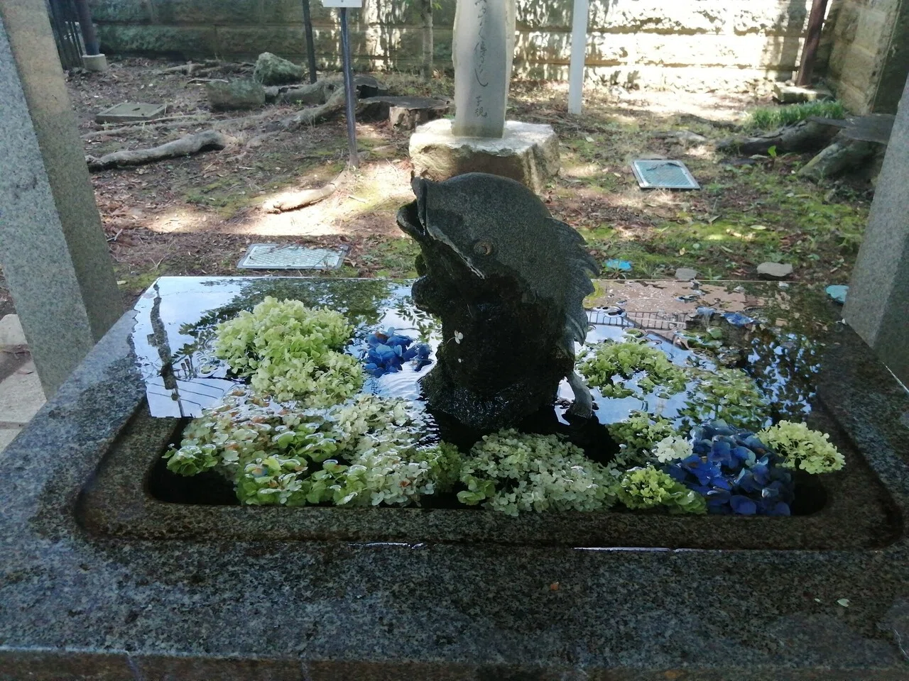 画像9