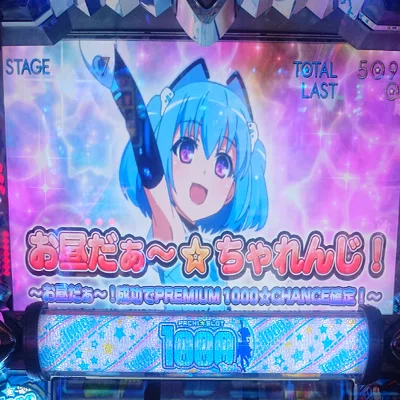 3 パチスロ稼働日記【1000ちゃん】1,000枚を賭けた成功率50%の