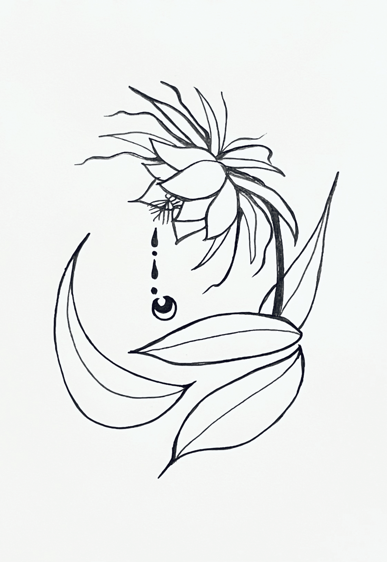 土曜絵画 Inktober 月下美人 他色々まとめてw ちびまゆ Note