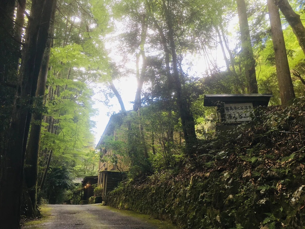 画像4