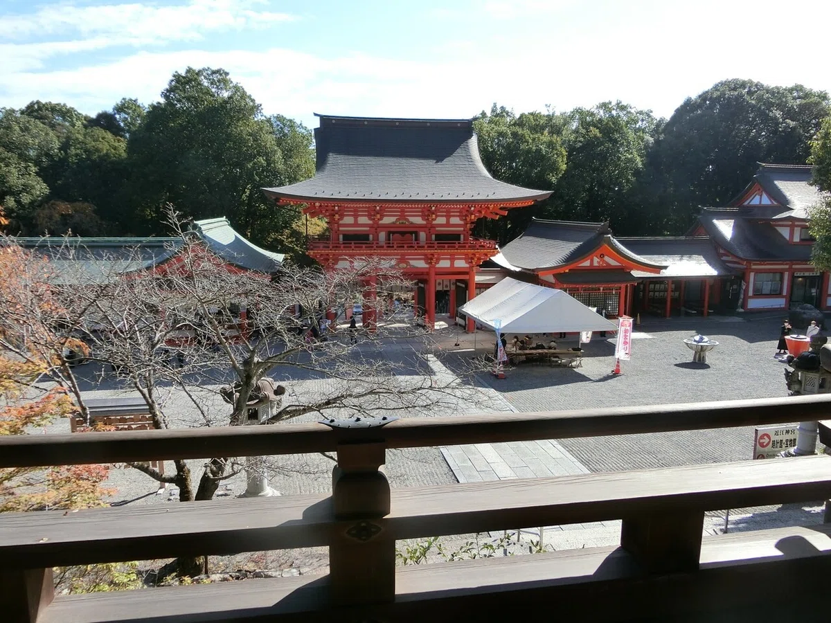 画像5