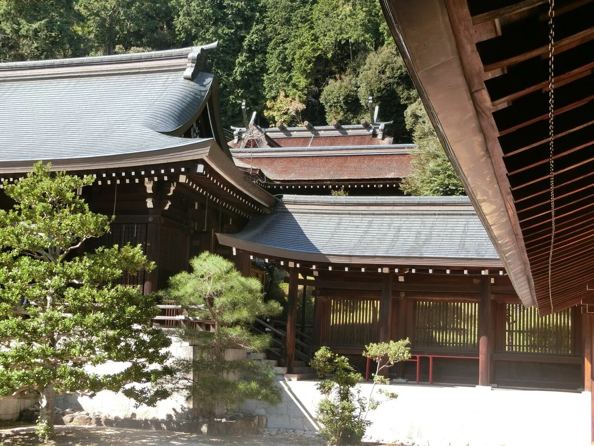 画像6