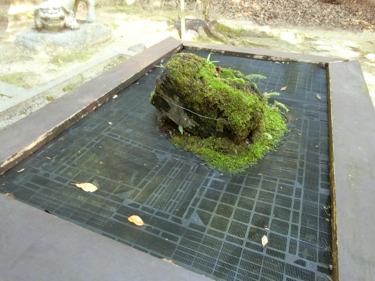 画像8