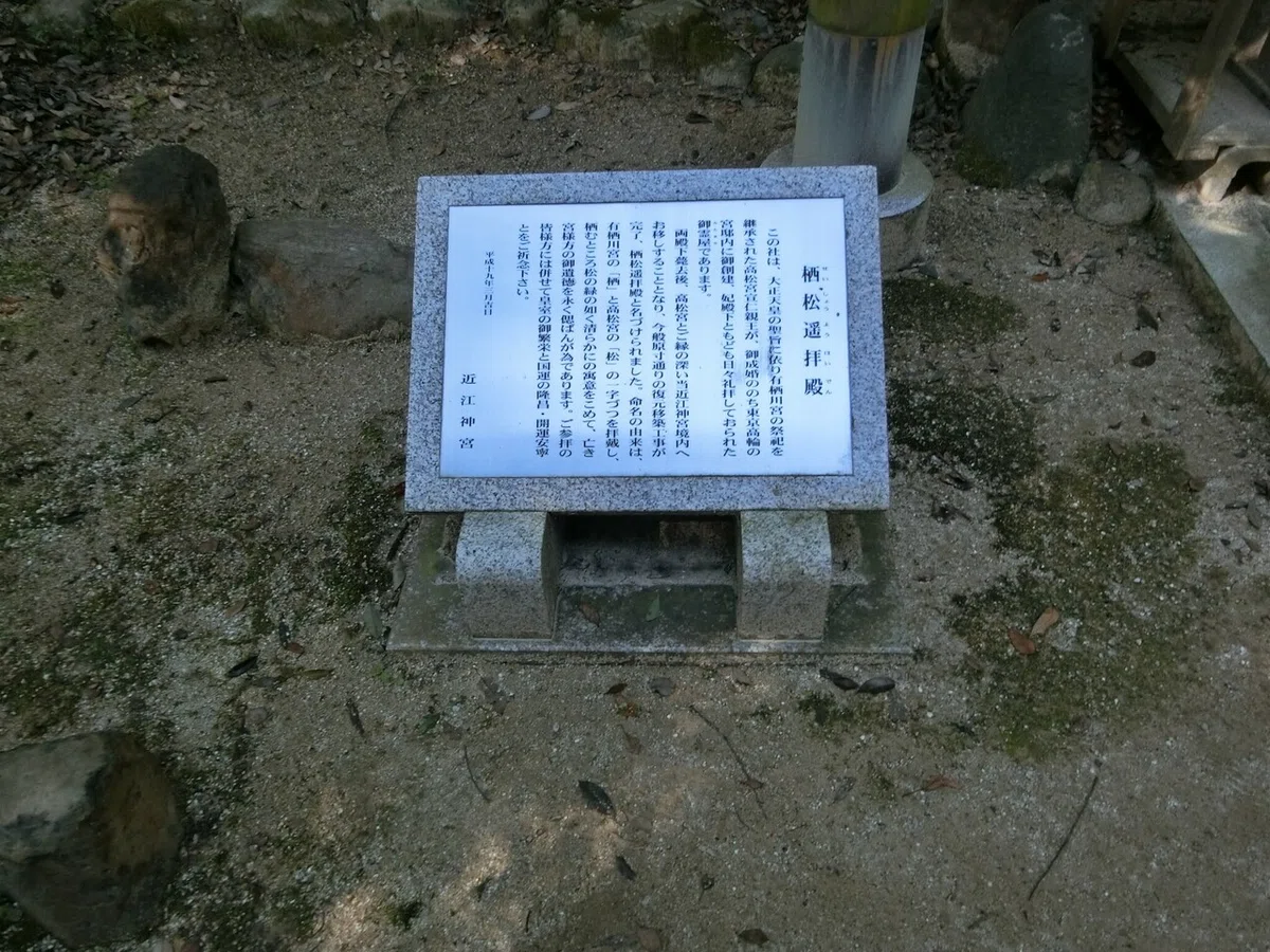 画像9