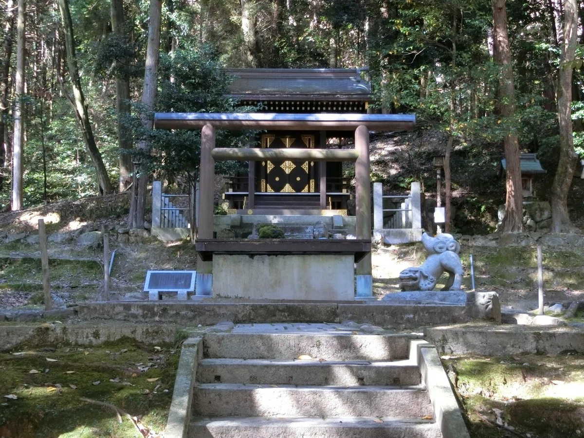 画像14