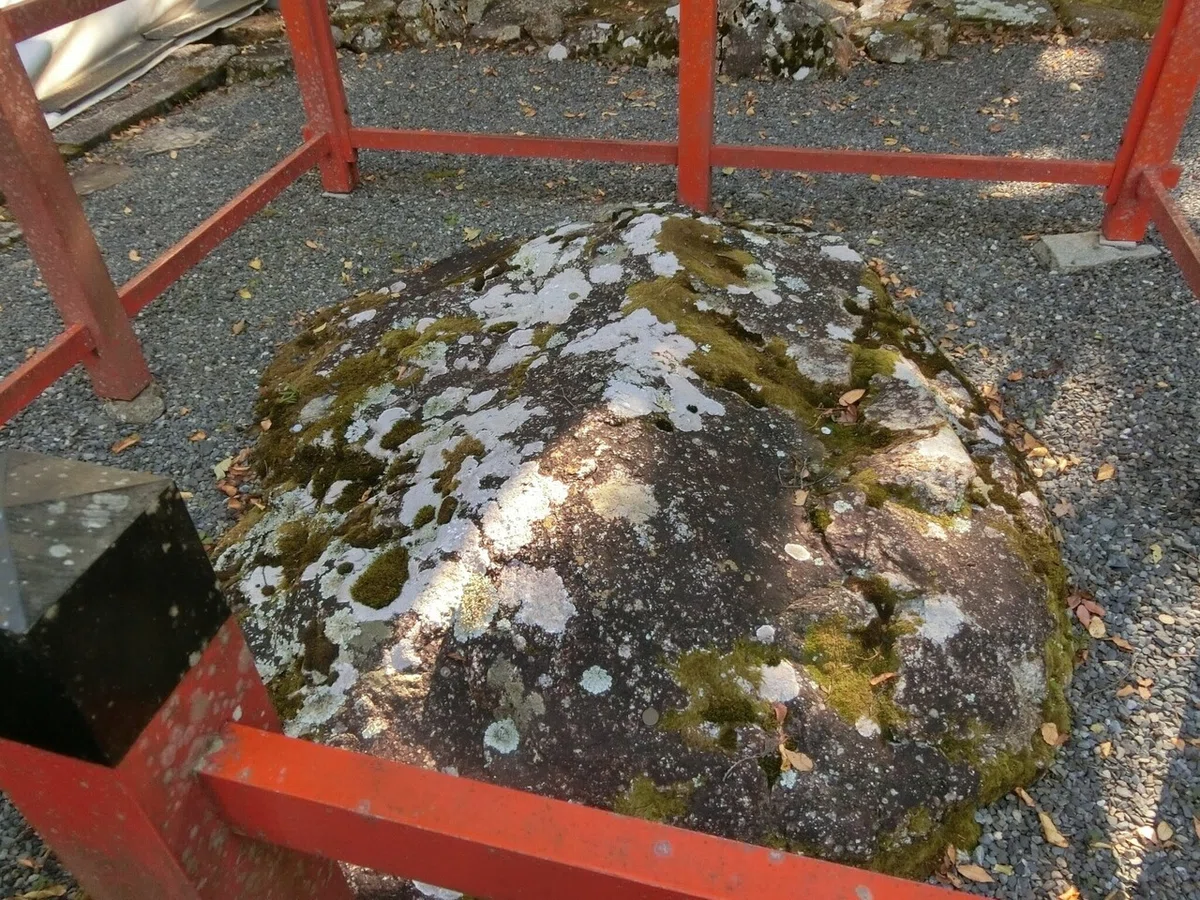 画像8