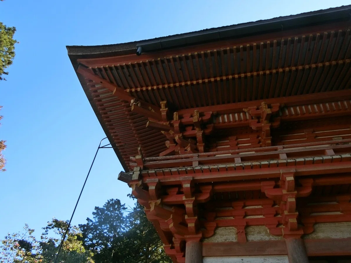 画像14