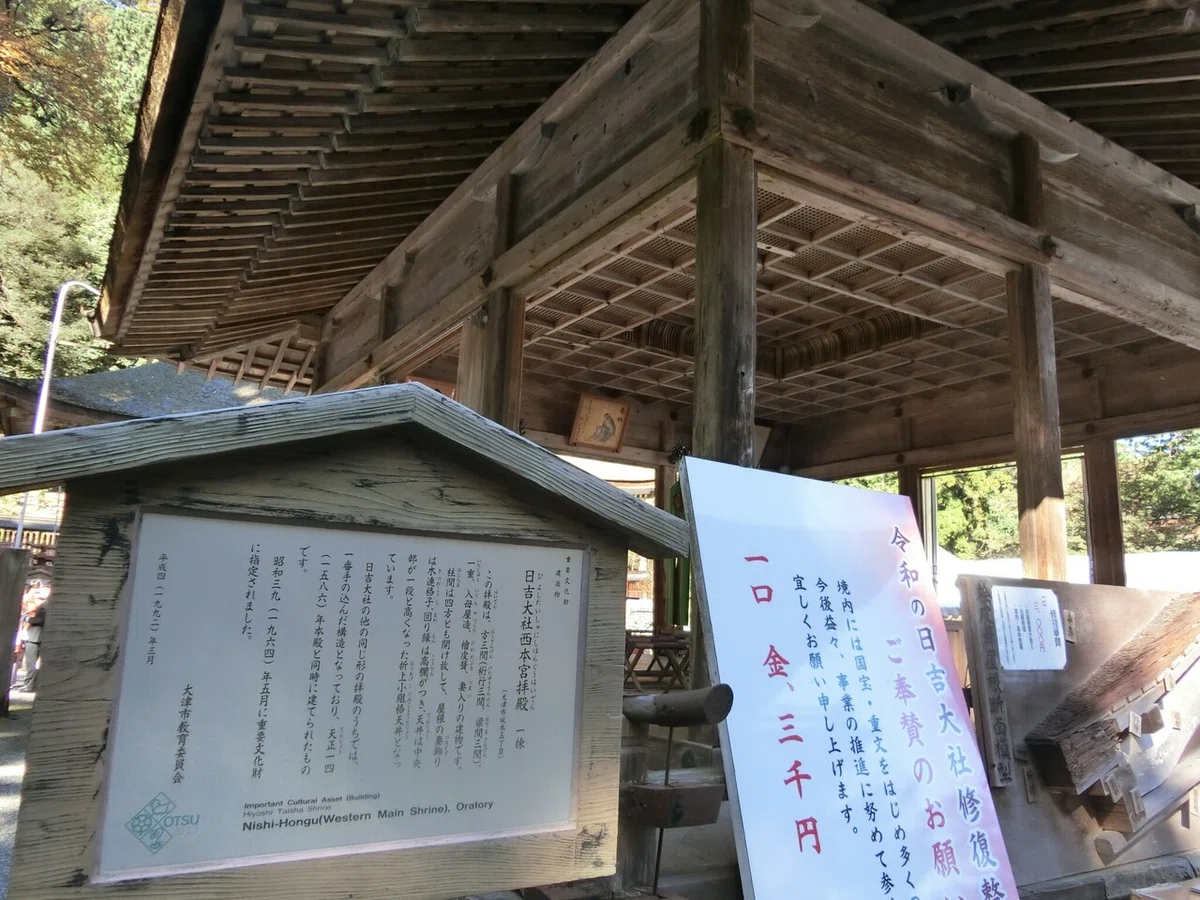 画像16