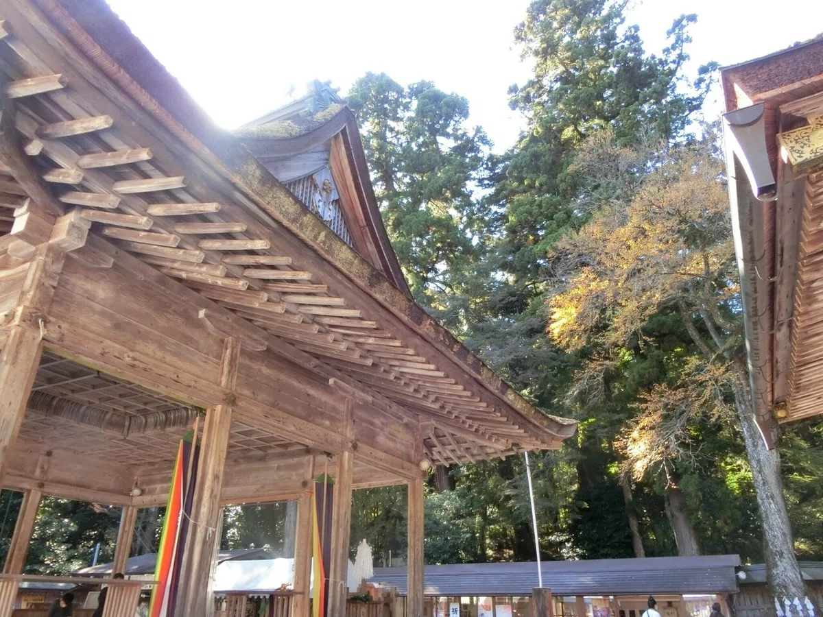 画像21