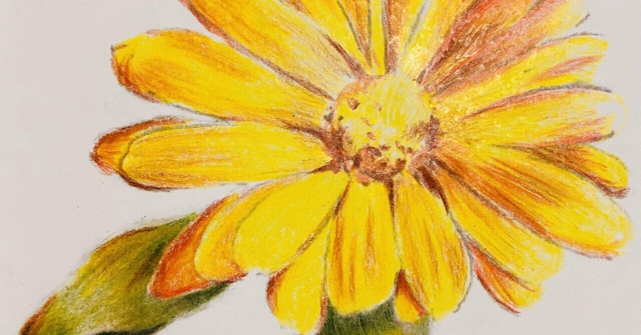 色鉛筆画はじめました｜松嶋祐子