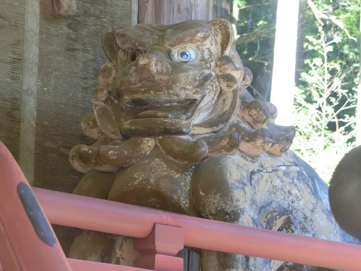 画像37