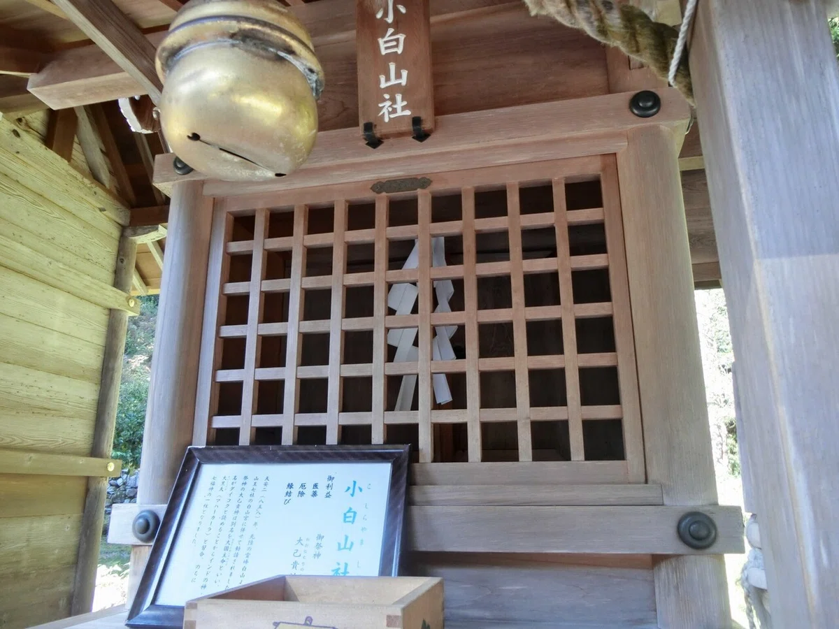 画像40