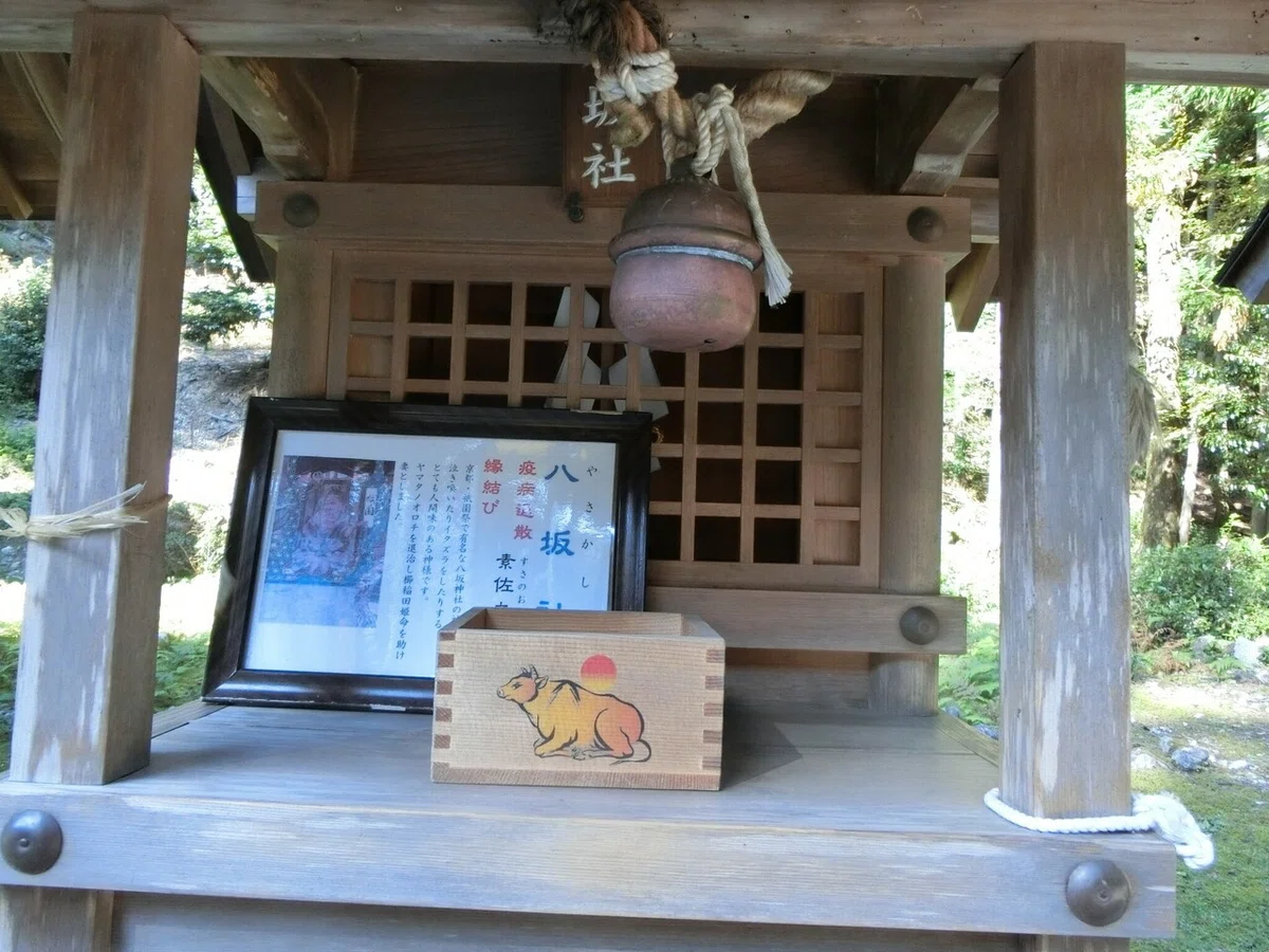 画像41