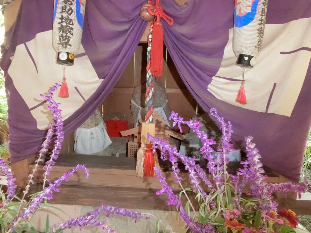 画像44