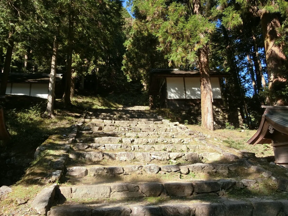 画像47