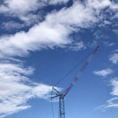 読書人間📚『色彩を持たない田崎つくると、彼の巡礼の年』村上春樹｜murata