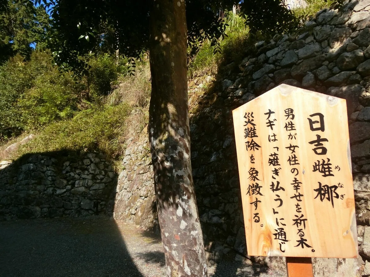 画像62