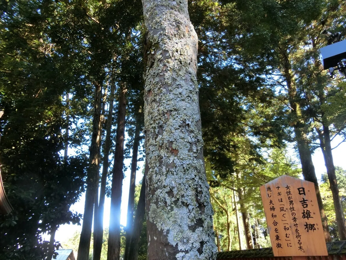 画像66