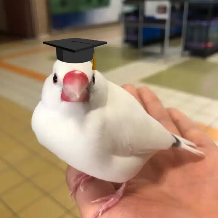 文鳥大学弥富研究所 Note