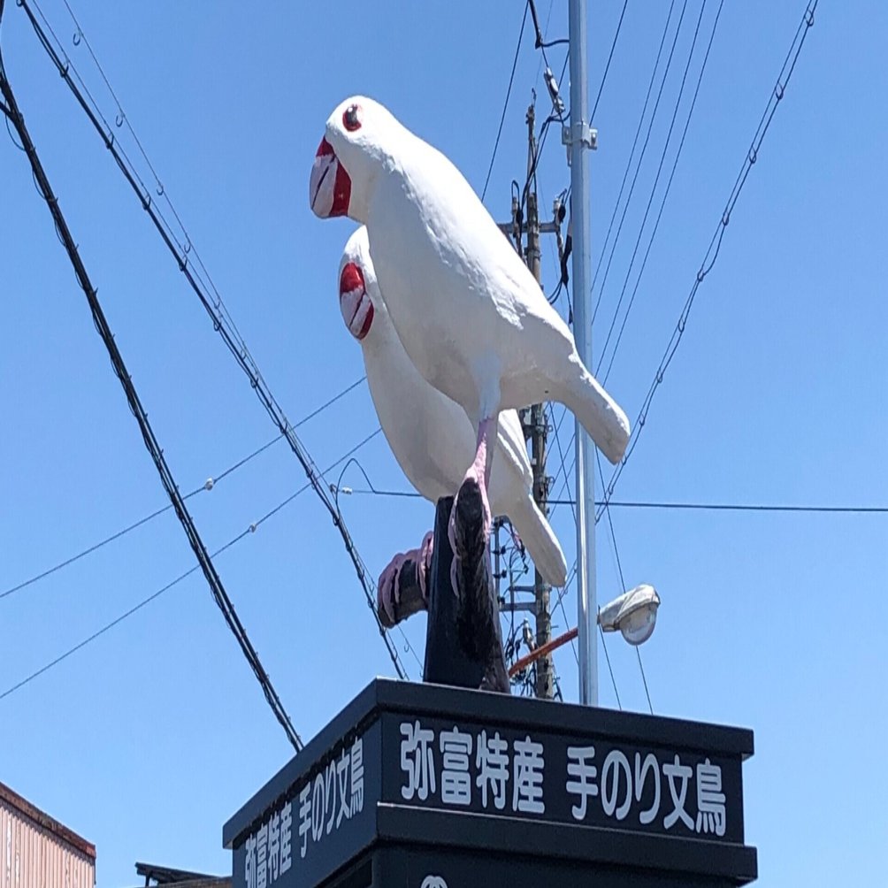 リニューアル後の白文鳥電話ボックス、もう訪れましたか？｜文鳥大学