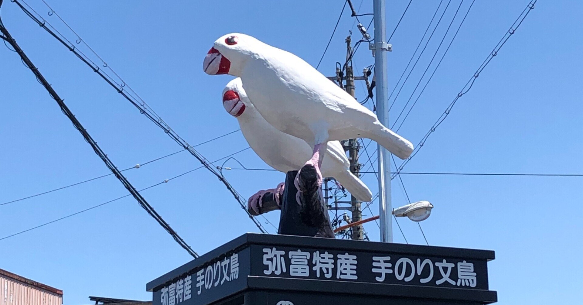 リニューアル後の白文鳥電話ボックス、もう訪れましたか?|文鳥大学 リニューアル後の白文鳥電話ボックス、もう訪れましたか?|文鳥大学