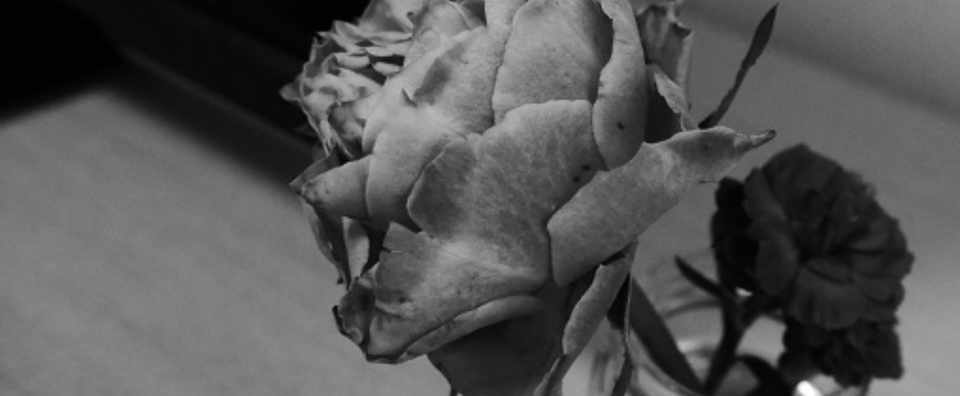 傷のある花 かず Note