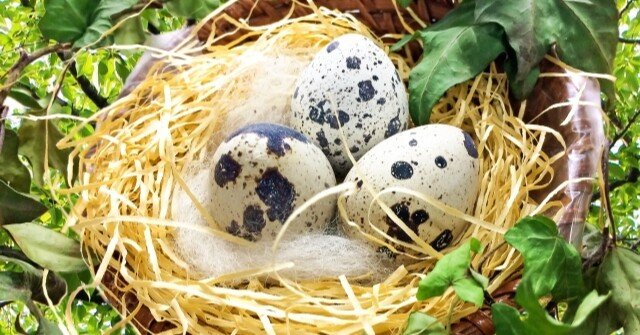 909c7a517f3b016fee7e5257cf2da0