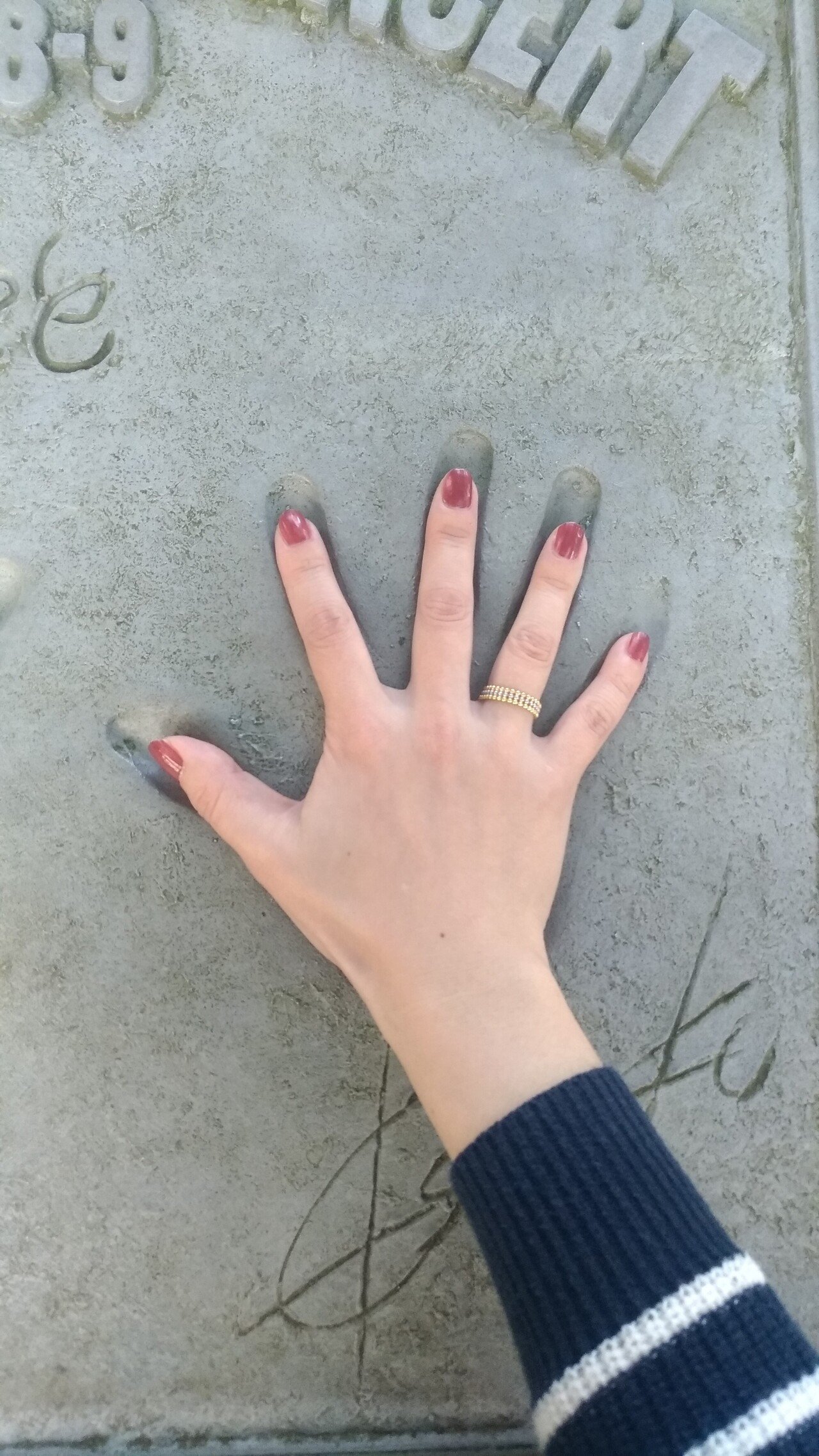 我遂に来たらん、THE ALFEEファンの聖地、日本平！！｜京