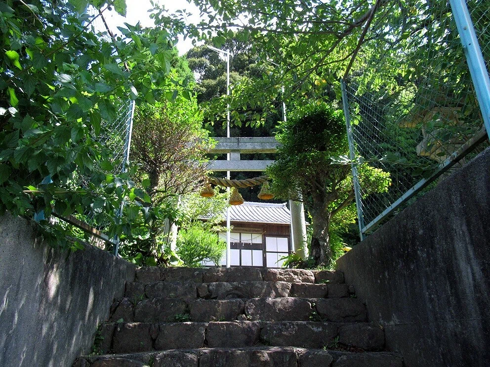 画像3