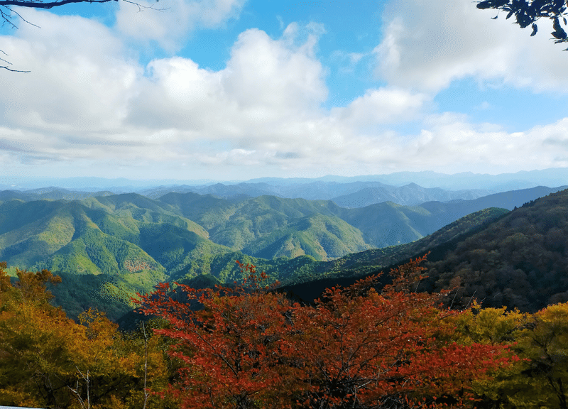 名称未設定のデザイン (1)