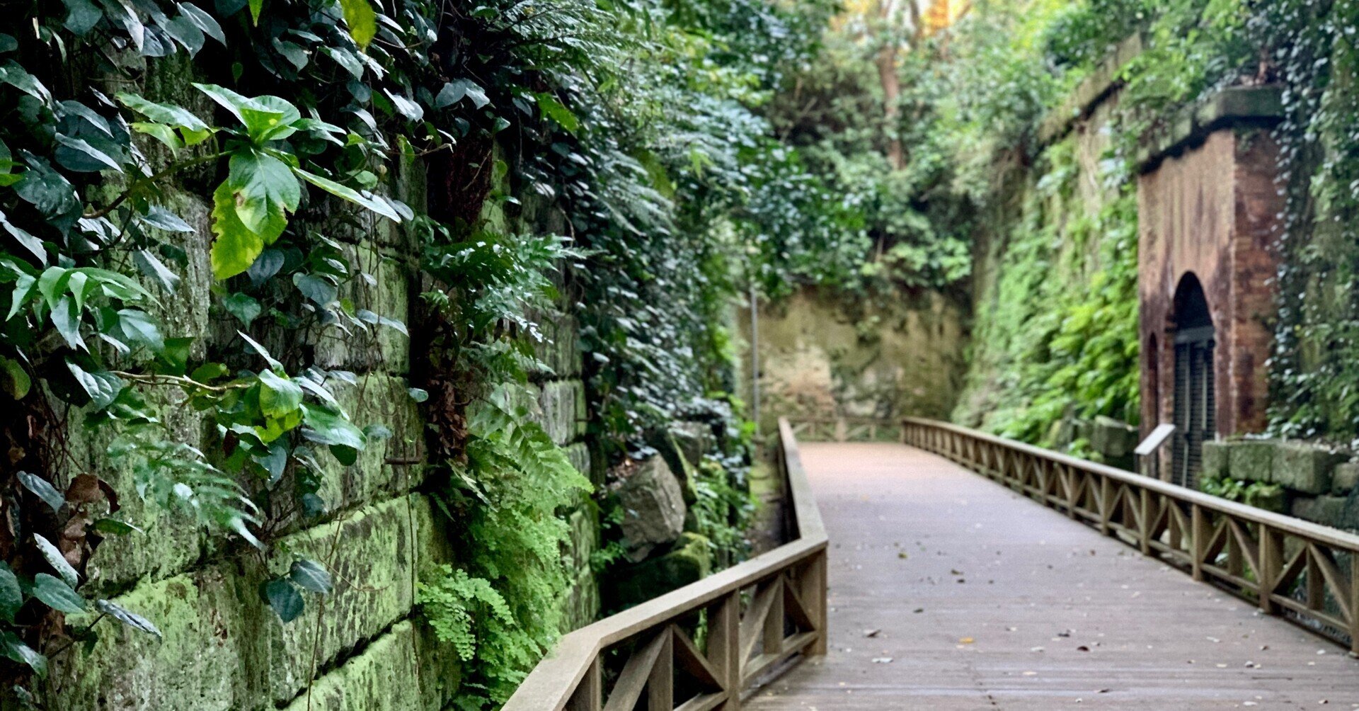 横須賀から行ける無人島 猿島に行ってみた 惑星ソムニウム Note 横須賀から行ける無人島 猿島に行ってみた 惑星ソムニウム Note
