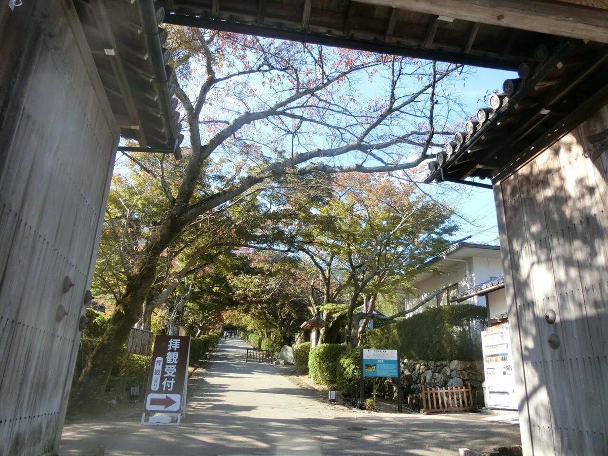 画像2