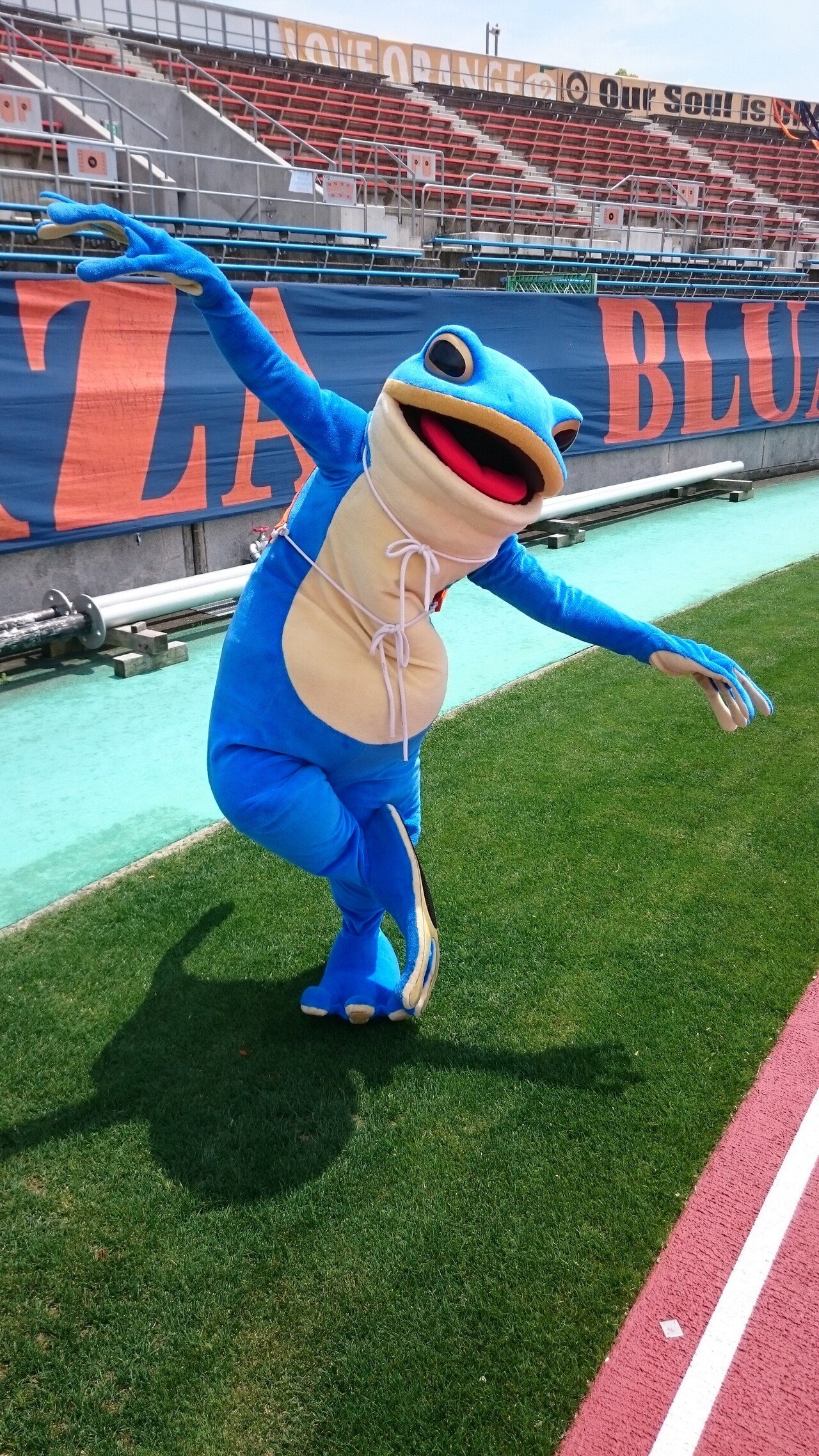 市場 サッカー 愛媛fc 蛙 一平くん カエル 野球
