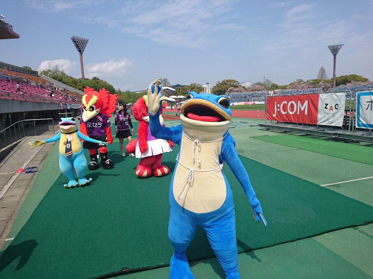 カエルの一平くんとの思い出 そして学んだ大切なこと 愛媛fcタムラ Note カエルの一平くんとの思い出 そして学んだ大切なこと 愛媛fcタムラ Note